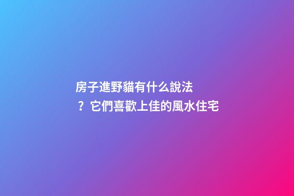 房子進野貓有什么說法？它們喜歡上佳的風水住宅